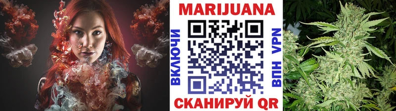 как найти наркотики  Фатеж  Канабис ГИДРОПОН 